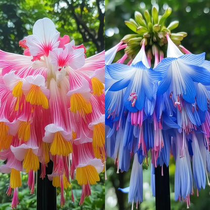 🌸Висящи семена за лобелия – Лесни за отглеждане